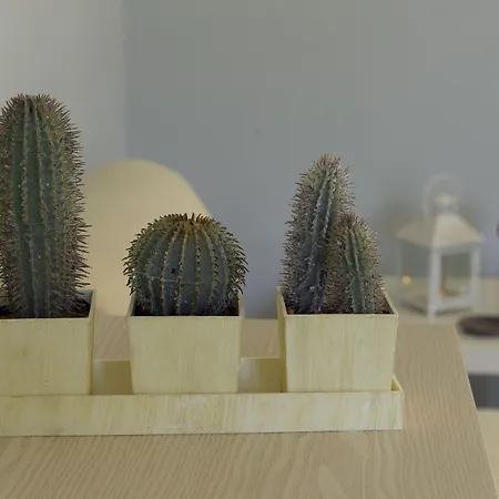 Almyris אדאמאס