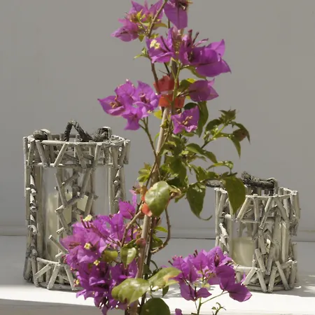 Almyris 3* אדאמאס