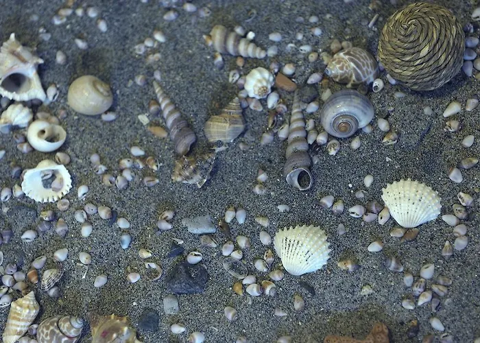 Almyris Adamantas (Milos)